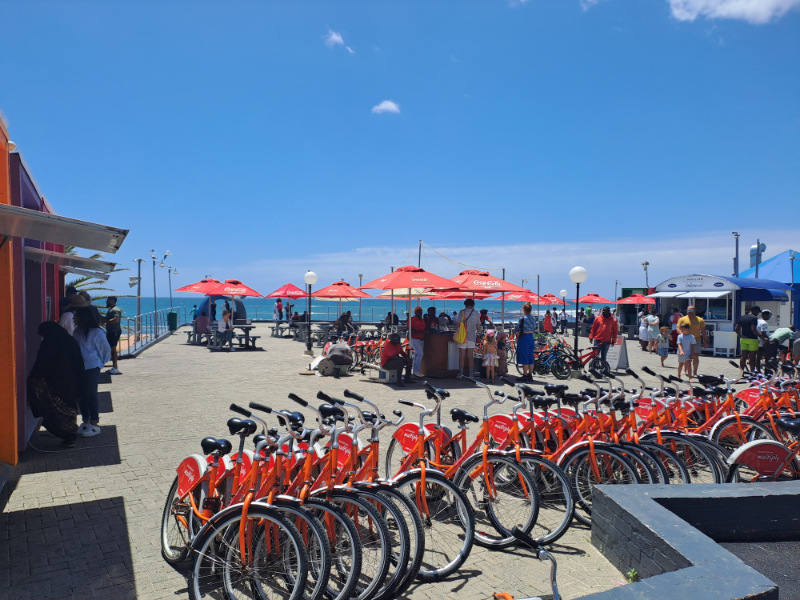 bicycle rentals in sea point