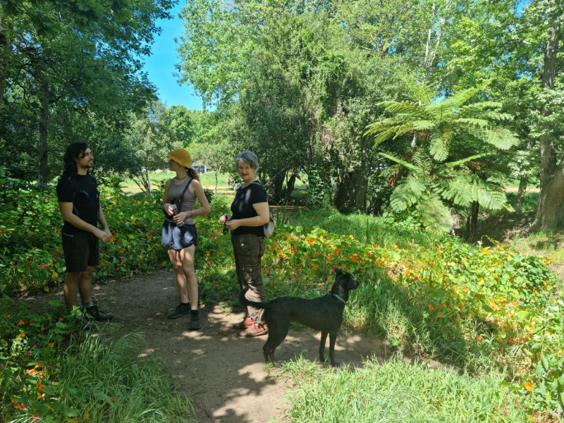 alphen trail constantia