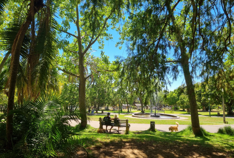 De Waal dog park Cape Town