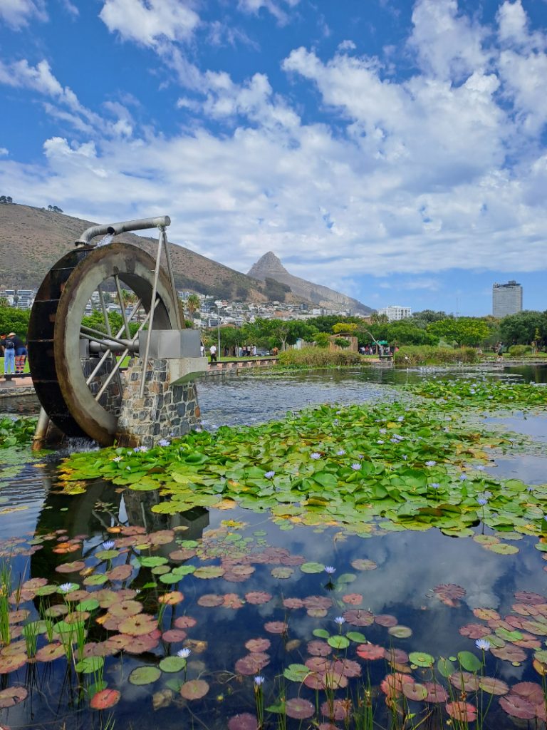 Green Point Park water feature