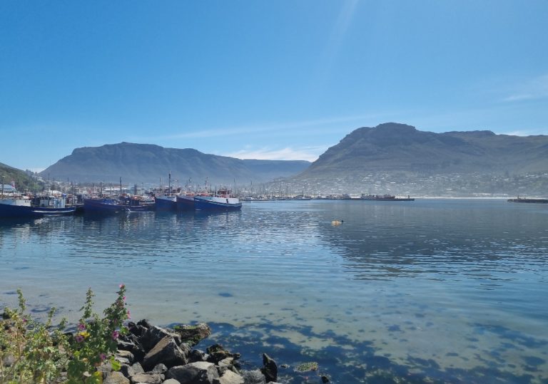 Hout Bay harbour