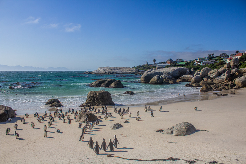 boulders beach