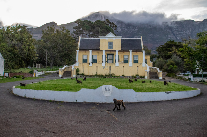 the Great Manor House in Tokai