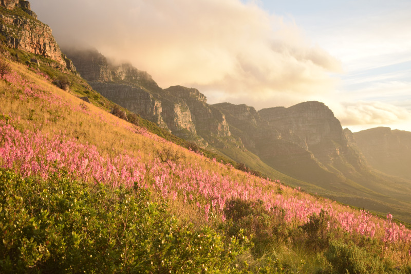 kloof corner sunset