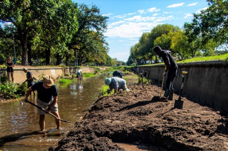 Cleaning up the Liesbeek River