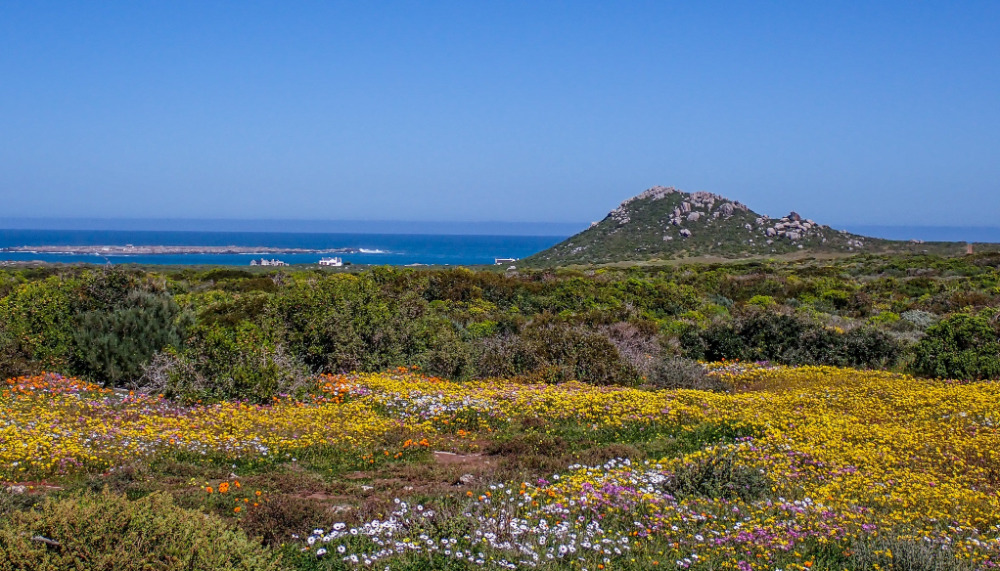 West Coast National Park