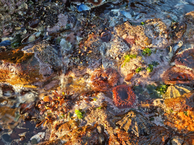 sea-point-rock-pools
