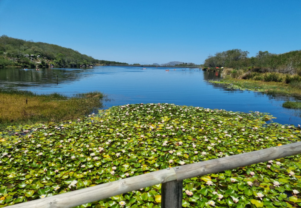 silvermine nature reserve
